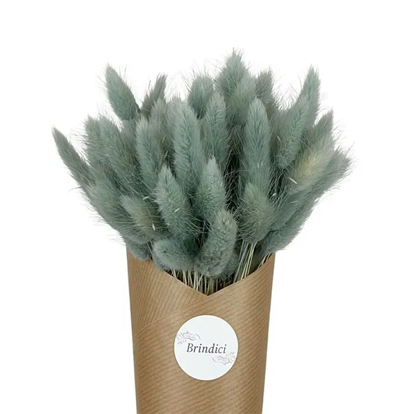 Brindici – Botte de fleurs séchées « Lacanau » grise